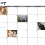 2023 LTBHS Calendar Square Little Traverse Bay Humane Society