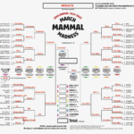 2022 March Mammal Madness Bracket Challenge Results Are In Fonda