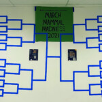 Environmental Science Department Creates March Mammal Madness Bracket