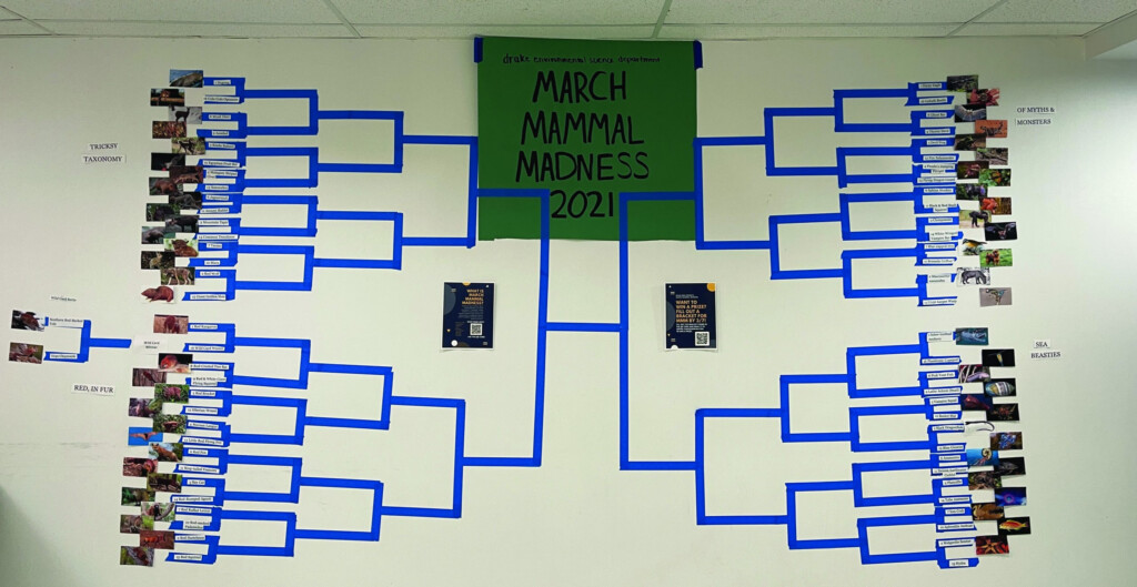 Environmental Science Department Creates March Mammal Madness Bracket 