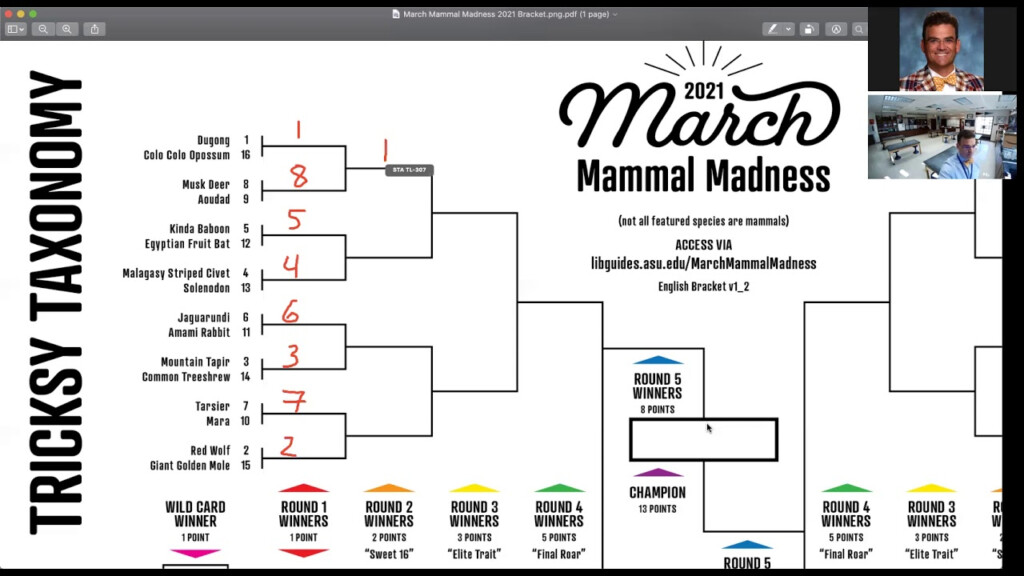 How To Fill Out Your Paper March Mammal Madness Bracket YouTube