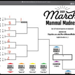 How To Fill Out Your Paper March Mammal Madness Bracket YouTube