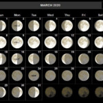 Lunar Calendar 2022 Nyc Blank Calendar