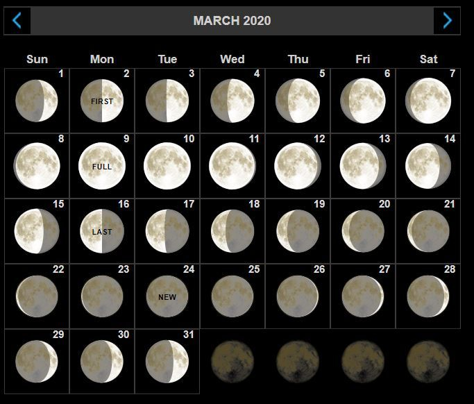 Lunar Calendar 2022 Nyc Blank Calendar