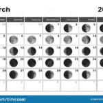 March 2023 Lunar Calendar Moon Cycles Stock Illustration