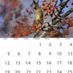 March Calendar Created With Fd s Flickr Toys Ross Tsai Flickr