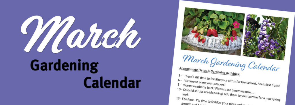 March Gardening Calendar Arizona SummerWinds Nursery