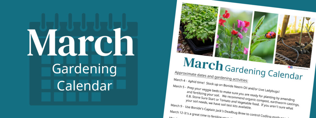 March Gardening Calendar California SummerWinds Nursery