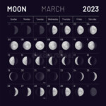 March Lunar Calendar For 2023 Year Monthly Cycle Planner Stock