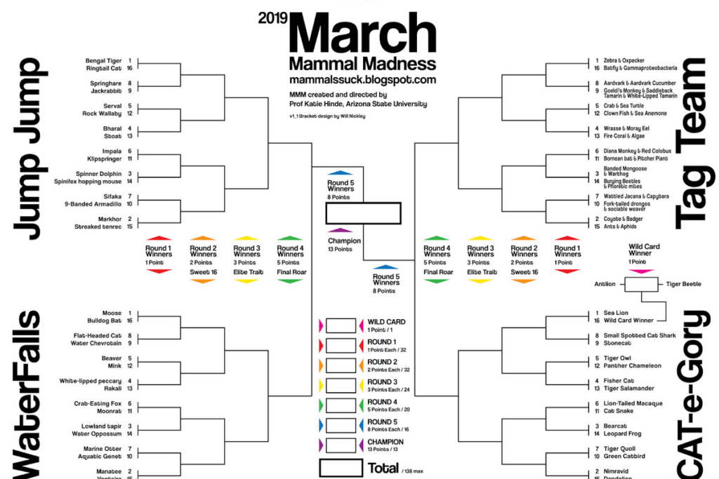 March Mammal Madness Is The Bracket For Animal Lovers Everywhere The 