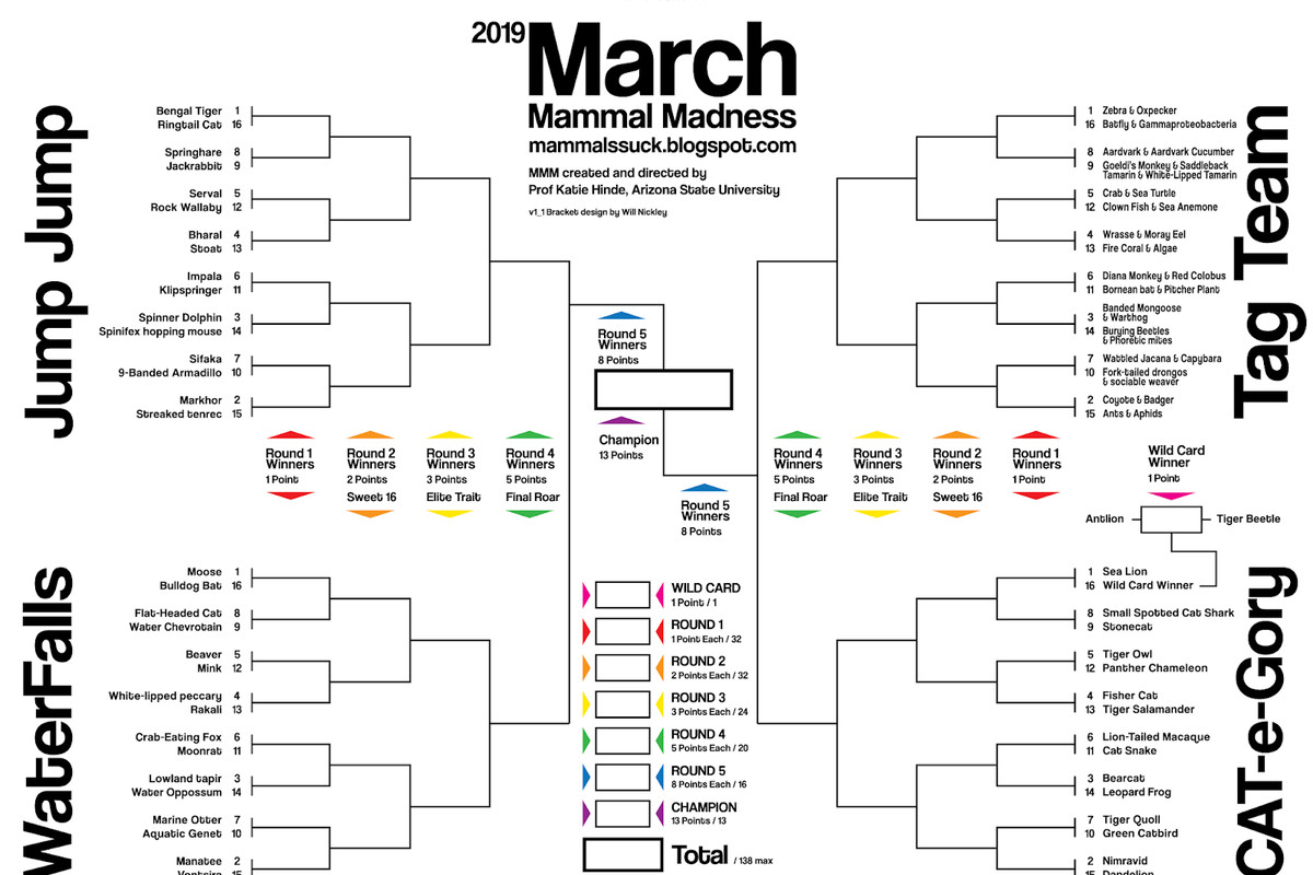 March Mammal Madness Is The Bracket For Animal Lovers Everywhere The