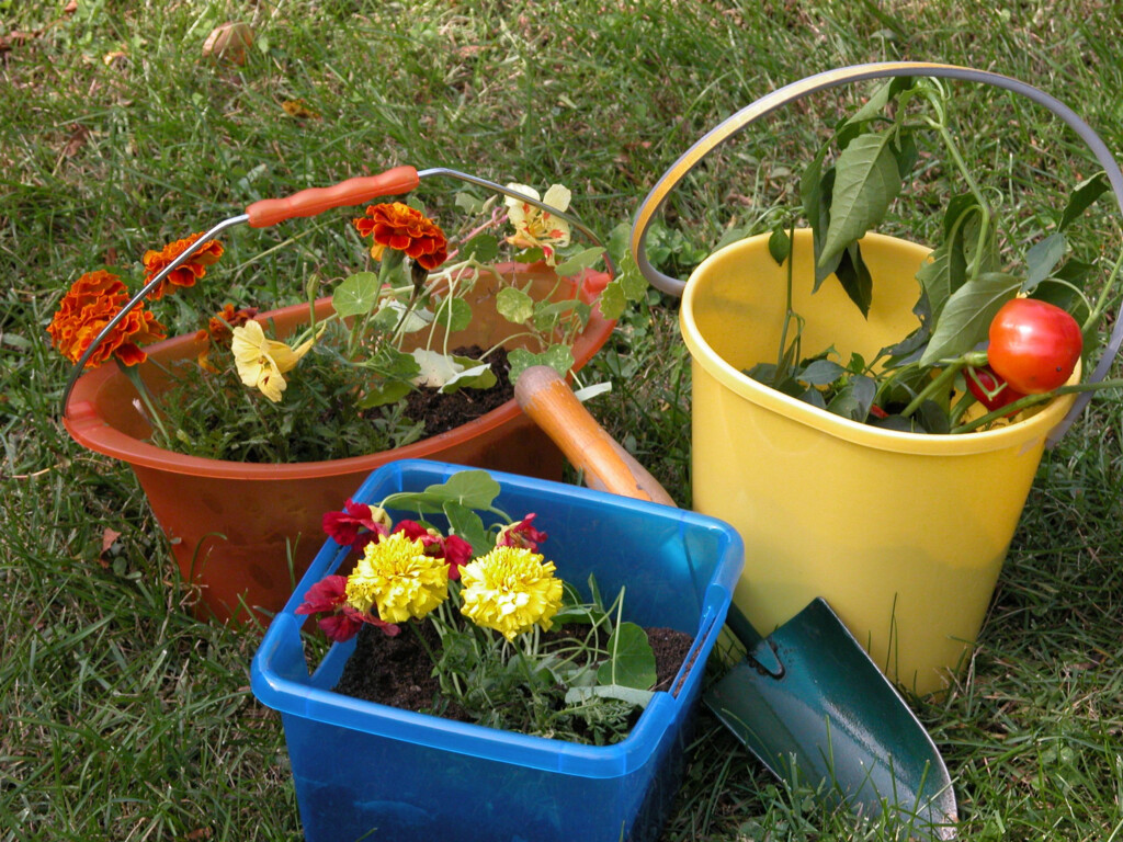 Pennsylvania Gardening Calendar March