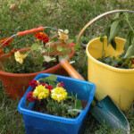 Pennsylvania Gardening Calendar March