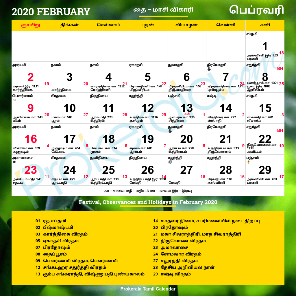 Tamil Calendar February 2022 Blank Calendar