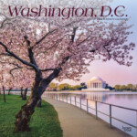 Washington DC Calendar 2023